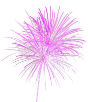WEBP