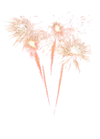 WEBP