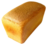 WEBP