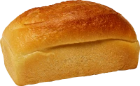 WEBP