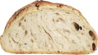 WEBP