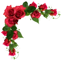 WEBP