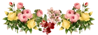 WEBP
