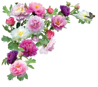 WEBP