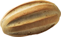 WEBP