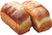 WEBP