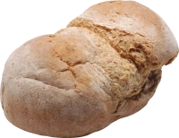 WEBP