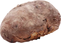WEBP