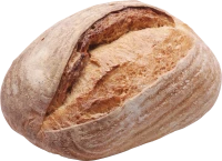 WEBP