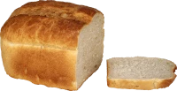 WEBP