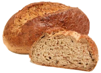 WEBP