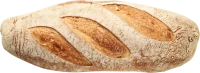 WEBP