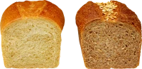 WEBP