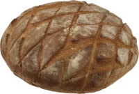 WEBP