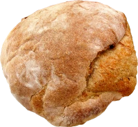 WEBP