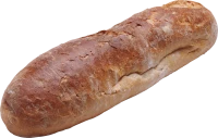 WEBP