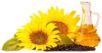 WEBP