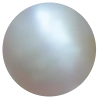 WEBP