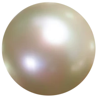 WEBP