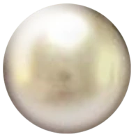 WEBP