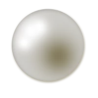 WEBP