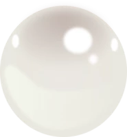 WEBP