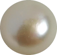 WEBP