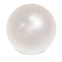 WEBP