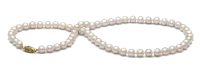 WEBP