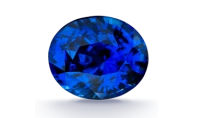 WEBP