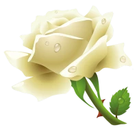 WEBP