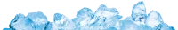 WEBP