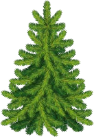 WEBP