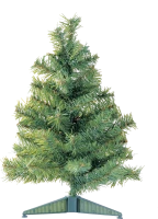 WEBP