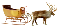 WEBP