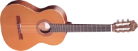 WEBP