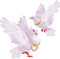 WEBP