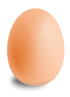 WEBP
