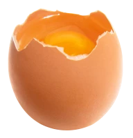 WEBP
