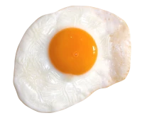 WEBP