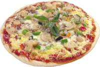 WEBP