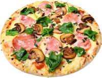 WEBP