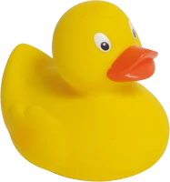 WEBP