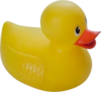 WEBP