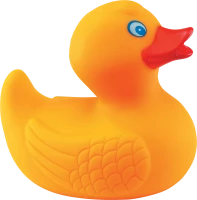 WEBP