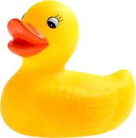 WEBP