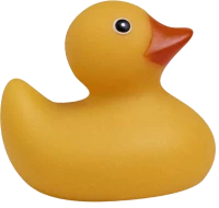 WEBP