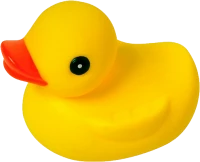 WEBP