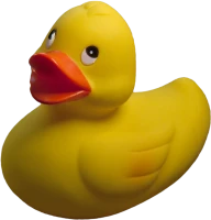WEBP