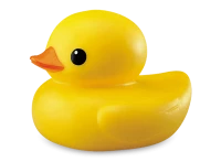 WEBP